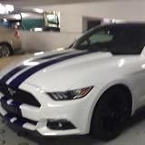 (Category: ) located in . Submitted by jhrtjh (Listing ID 1383701317, Image 1). Description: .