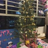 (Category: ) located in . Submitted by walker81 (Listing ID 1385712983, Image 1). Description: .