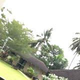 (Category: ) located in . Submitted by mdmalisha (Listing ID 1384068021, Image 1). Description: .