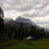 (Kategori: ) berada di . Dikirim oleh ran_405 (ID iklan 1334954048, Gambar 1). Deskripsi: .