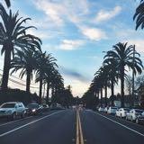 (Category: ) located in . Submitted by peachyelephant (Listing ID 1378756896, Image 1). Description: .