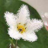 （分類：）位於 。 由 whitelegkelly 提交（商品編號 1307008654，圖片 1）。簡介： 。