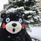 （分類：）位於 。 由 linglinglo888 提交（商品編號 1382234110，圖片 1）。簡介： 。