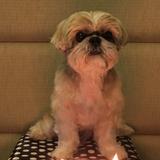 (Category: ) located in . Submitted by gizmomum (Listing ID 1272503004, Image 1). Description: .