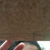 (Category: ) located in . Submitted by sandoops (Listing ID 1380202756, Image 1). Description: .