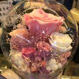 （分類：）位於 。 由 pinkyworkshop 提交（商品編號 1074498071，圖片 1）。簡介： 。