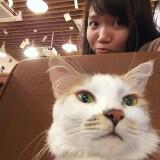 頭像