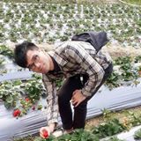 由 ccyjoff (刊登 ID 1376159088，圖片 1) 提交，位於 的 (類別：)，說明：。