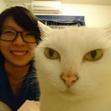 由 kinomotojan (刊登 ID 1385803016，圖片 1) 提交，位於 的 (類別：)，說明：。