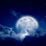 (Category: ) located in . Submitted by moonclouds (Listing ID 255961334, Image 1). Description: .