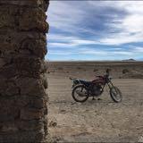 (Category: ) located in . Submitted by paulsyl (Listing ID 1384179169, Image 1). Description: .
