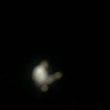 (Category: ) located in . Submitted by mednes (Listing ID 1440340662, Image 1). Description: .