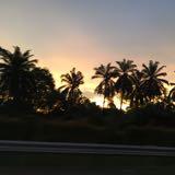 (Category: ) located in . Submitted by koopatroops (Listing ID 1382977818, Image 1). Description: .
