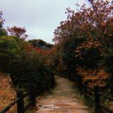 (Category: ) located in . Submitted by pandoes (Listing ID 1372389567, Image 1). Description: .