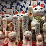 (Category: ) located in . Submitted by grace.sells (Listing ID 1364231214, Image 1). Description: .
