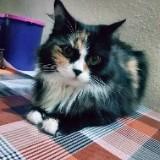(Category: ) located in . Submitted by sueliana (Listing ID 1384142785, Image 1). Description: .