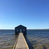 (Category: ) located in . Submitted by donk.f (Listing ID 1359849817, Image 1). Description: .