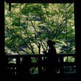 (分類:)位於 。 由 square1234 提交(商品編號 1456311684,圖片 1)。簡介: 。