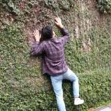 由 yayaya330818 (刊登 ID 1380191203，圖片 1) 提交，位於 的 (類別：)，說明：。