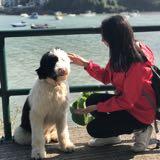 （分類：）位於 。 由 katie0807 提交（商品編號 1359272419，圖片 1）。簡介： 。