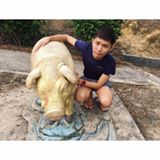 (Category: ) located in . Submitted by desmondyeo520 (Listing ID 1452206307, Image 1). Description: .