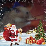 (Category: ) located in . Submitted by minminnnnnnnnn123445 (Listing ID 1371100250, Image 1). Description: .