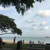 (Category: ) located in . Submitted by wang.xiaolu.3 (Listing ID 1465441360, Image 1). Description: .