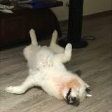 (Category: ) located in . Submitted by dbokins (Listing ID 149931945, Image 1). Description: .