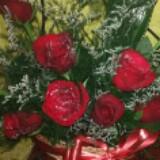 (Category: ) located in . Submitted by pragyasri (Listing ID 1376540505, Image 1). Description: .