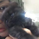 (Category: ) located in . Submitted by syurs (Listing ID 1039611753, Image 1). Description: .