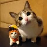 (Category: ) located in . Submitted by dottycom (Listing ID 1369522381, Image 1). Description: .