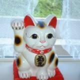 (Category: ) located in . Submitted by luckycat8888 (Listing ID 1331653472, Image 1). Description: .