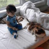 (Category: ) located in . Submitted by jjlzy (Listing ID 1372856824, Image 1). Description: .