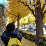 (Category: ) located in . Submitted by shinwang13 (Listing ID 1281877970, Image 1). Description: .