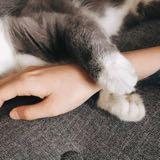 (Category: ) located in . Submitted by tuboshuxin (Listing ID 1378071887, Image 1). Description: .