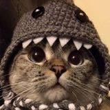 (Category: ) located in . Submitted by nekonekoya (Listing ID 1370162575, Image 1). Description: .