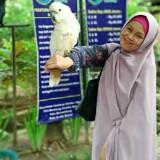 (Kategori: ) berada di . Dikirim oleh innaloved (ID iklan 1377806808, Gambar 1). Deskripsi: .