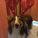 (Category: ) located in . Submitted by mliew123 (Listing ID 1466923103, Image 1). Description: .