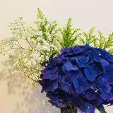 （分類：）位於 。 由 rachel910 提交（商品編號 1384940113，圖片 1）。簡介： 。