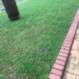 (Category: ) located in . Submitted by naamiee (Listing ID 1434947645, Image 1). Description: .