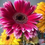 (Category: ) located in . Submitted by look1201 (Listing ID 1305482334, Image 1). Description: .