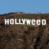 (Kategori: ) berada di . Dikirim oleh hollyweeds (ID iklan 1377102283, Gambar 1). Deskripsi: .