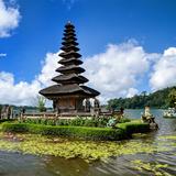 (Category: ) located in . Submitted by shoppinginbali (Listing ID 1378588191, Image 1). Description: .
