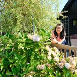 (Category: ) located in . Submitted by minhthu311 (Listing ID 1351868471, Image 1). Description: .
