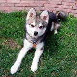 (Category: ) located in . Submitted by nelson.chow3 (Listing ID 1250086045, Image 1). Description: .