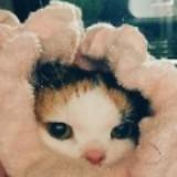 (Category: ) located in . Submitted by lolmofox (Listing ID 1330913526, Image 1). Description: .