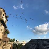 （分類：）位於 。 由 rreaa 提交（商品編號 1250419745，圖片 1）。簡介： 。