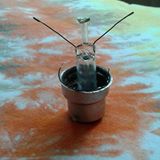 (Category: ) located in . Submitted by mahmud39 (Listing ID 1385158981, Image 1). Description: .