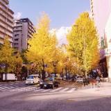 (Category: ) located in . Submitted by nujiuh (Listing ID 1439368074, Image 1). Description: .