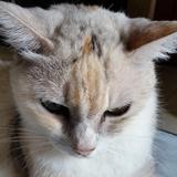 (Category: ) located in . Submitted by blue_horizon (Listing ID 1376225473, Image 1). Description: .
